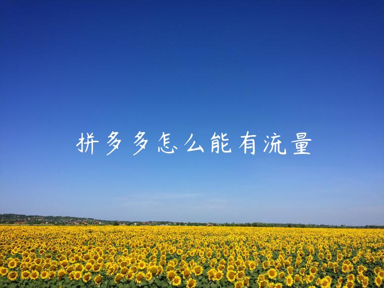 拼多多怎么能有流量