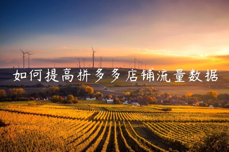 如何提高拼多多店铺流量数据