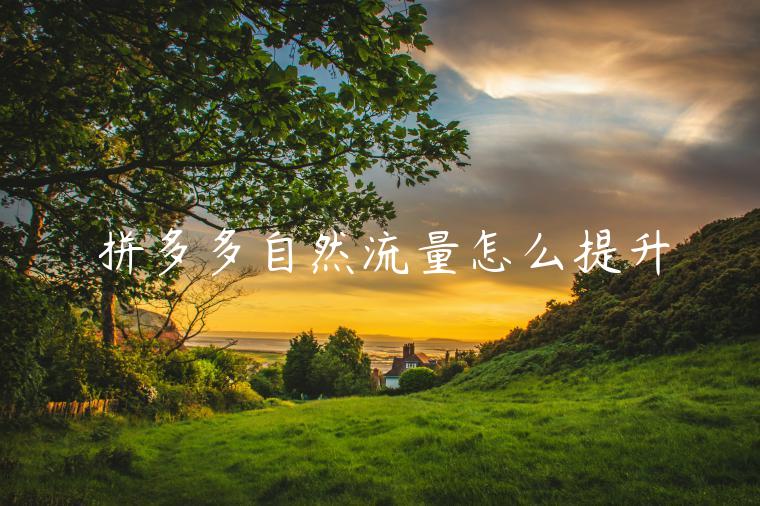 拼多多自然流量怎么提升 拼多多自然流量怎么提升