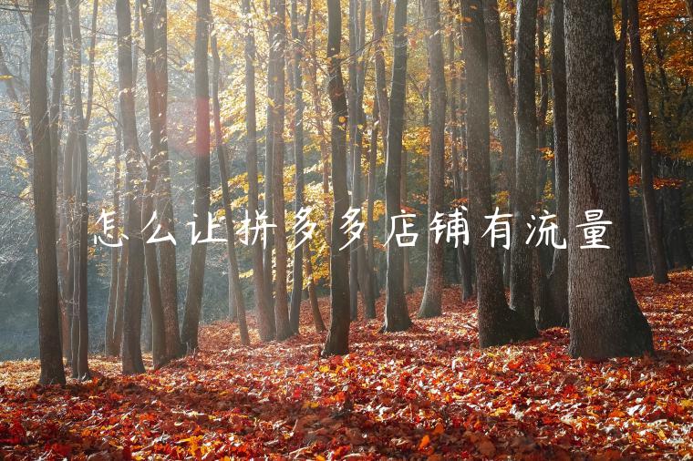 怎么让拼多多店铺有流量 怎么让拼多多店铺有流量