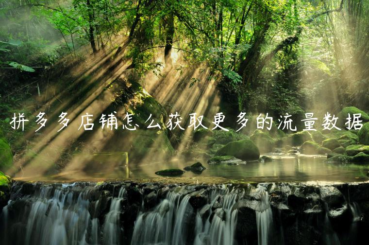 拼多多店铺怎么获取更多的流量数据