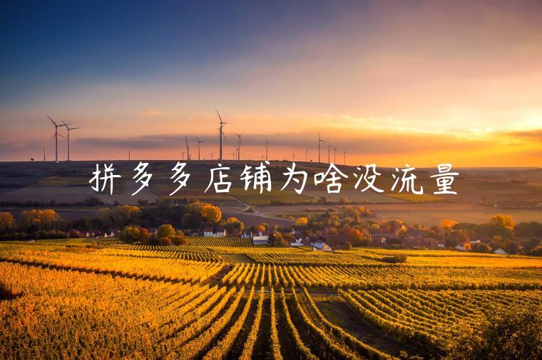 拼多多店铺为啥没流量 拼多多店铺为啥没流量