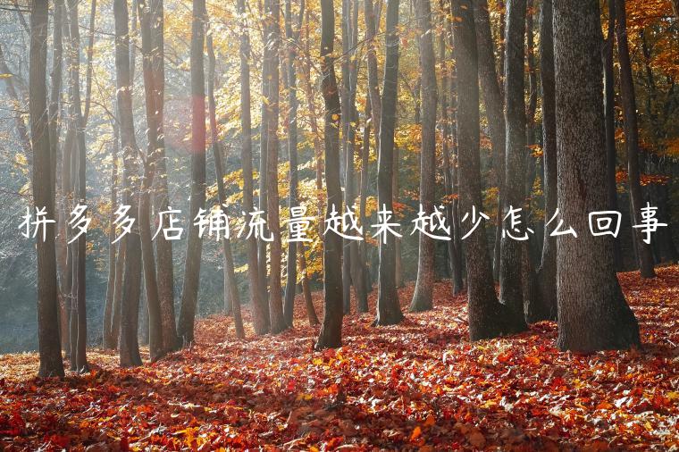 拼多多店铺流量越来越少怎么回事 拼多多店铺流量越来越少怎么回事