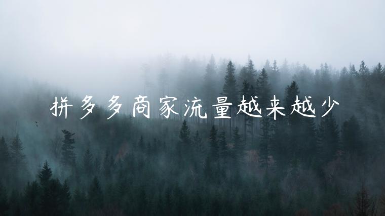 拼多多商家流量越来越少