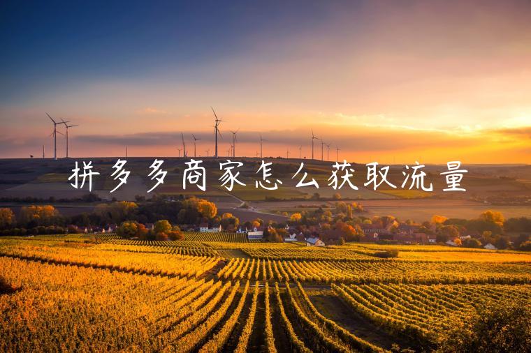 拼多多商家怎么获取流量