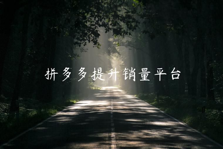 拼多多提升销量平台