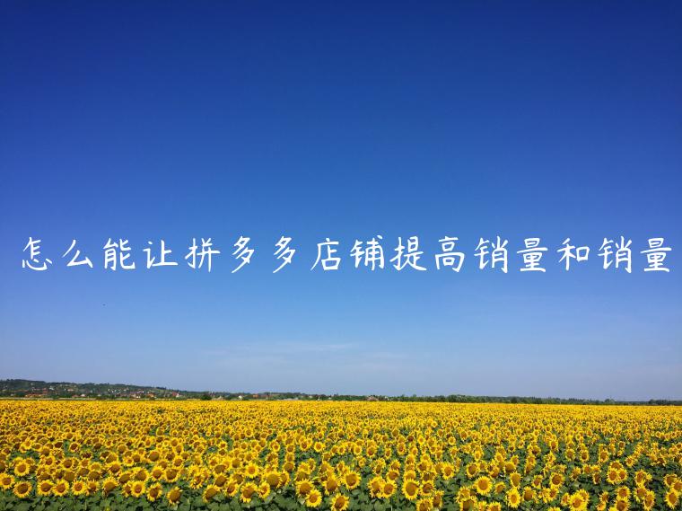 怎么能让拼多多店铺提高销量和销量