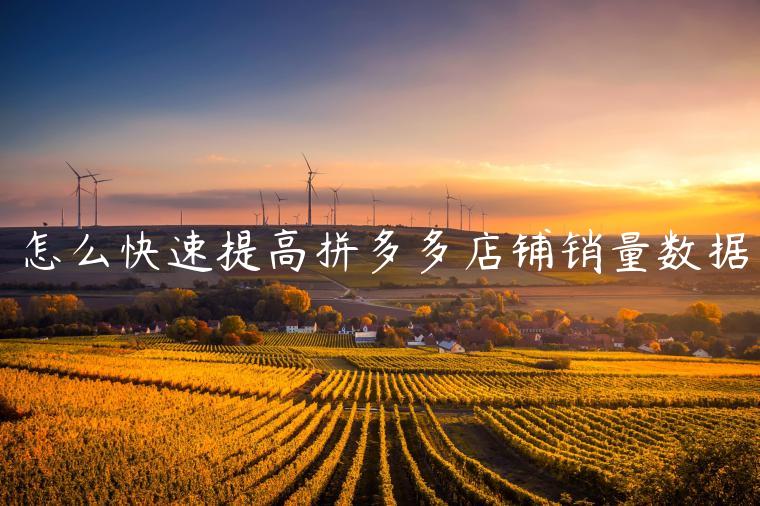 怎么快速提高拼多多店铺销量数据 怎么快速提高拼多多店铺销量数据
