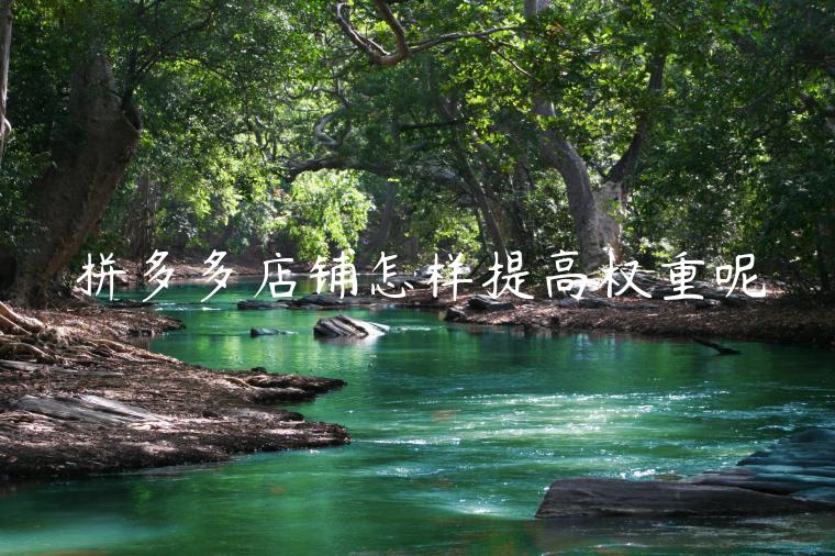 拼多多店铺怎样提高权重呢