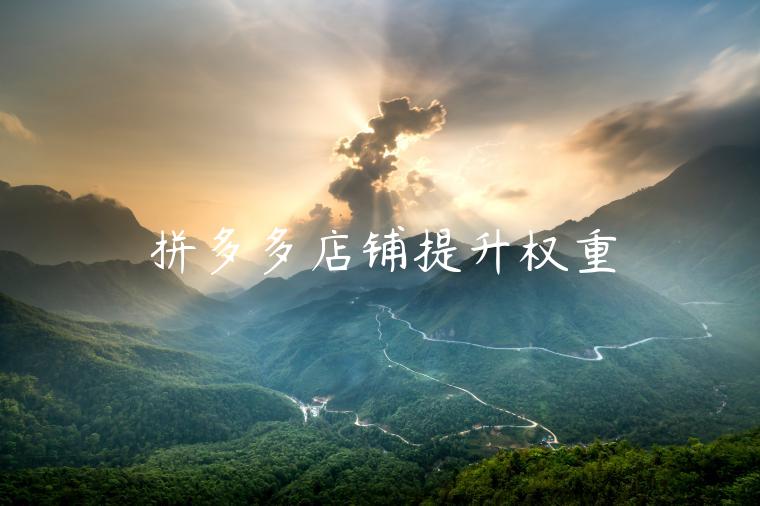 拼多多店铺提升权重