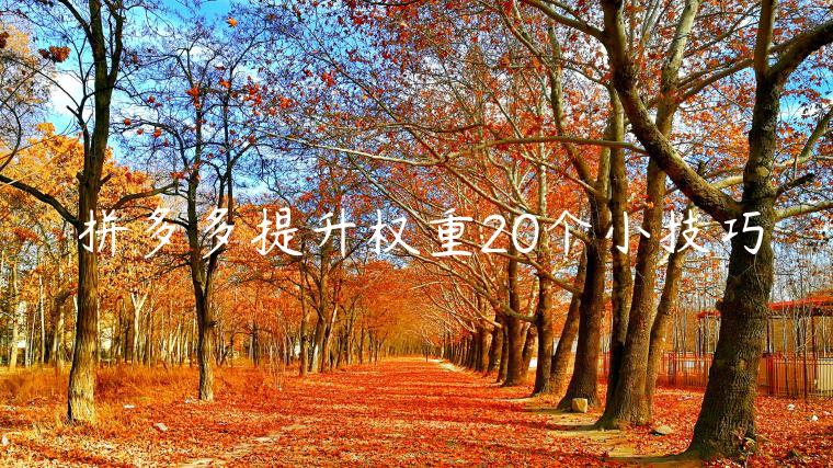 拼多多提升权重20个小技巧