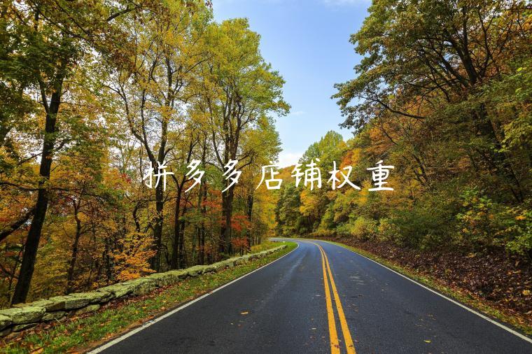 拼多多店铺权重 拼多多店铺权重