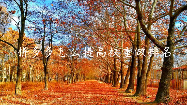 拼多多怎么提高权重做排名