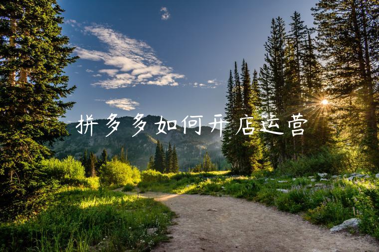 拼多多如何开店运营