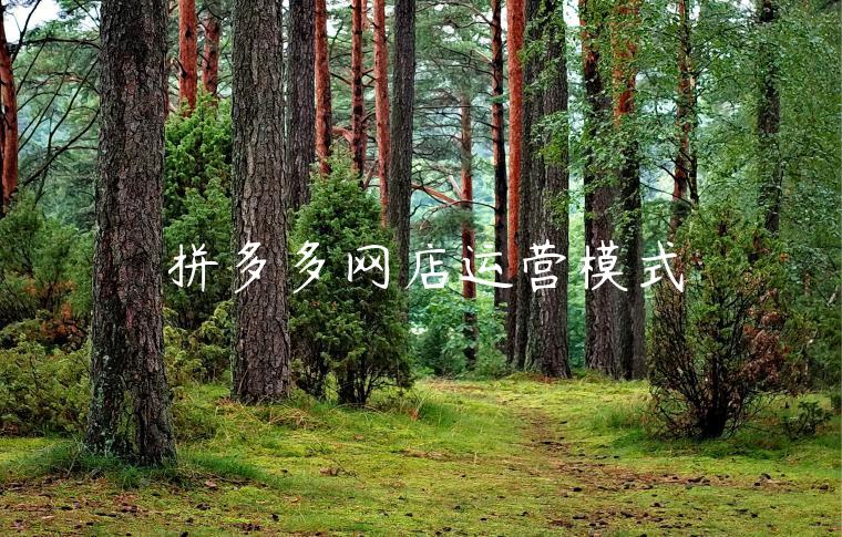 拼多多网店运营模式 拼多多网店运营模式