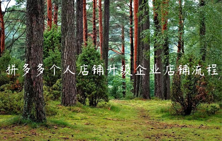 拼多多个人店铺升级企业店铺流程