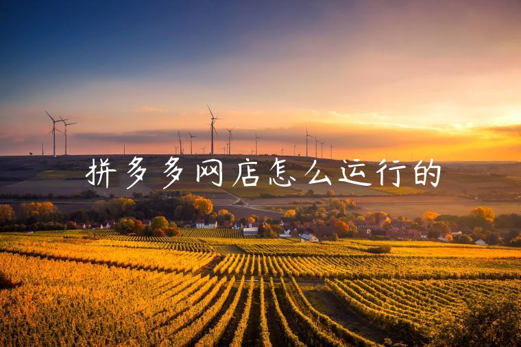 拼多多网店怎么运行的