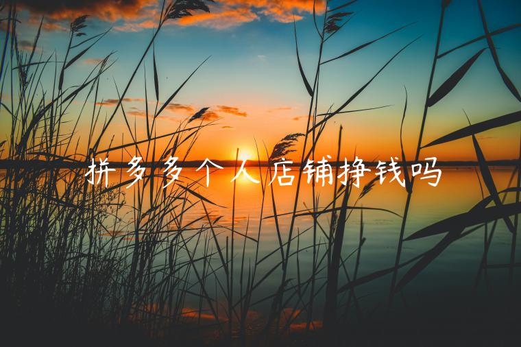 拼多多个人店铺挣钱吗