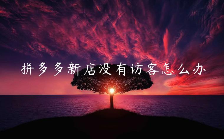 拼多多新店没有访客怎么办 拼多多新店没有访客怎么办