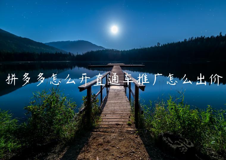 拼多多怎么开直通车推广怎么出价 拼多多怎么开直通车推广怎么出价