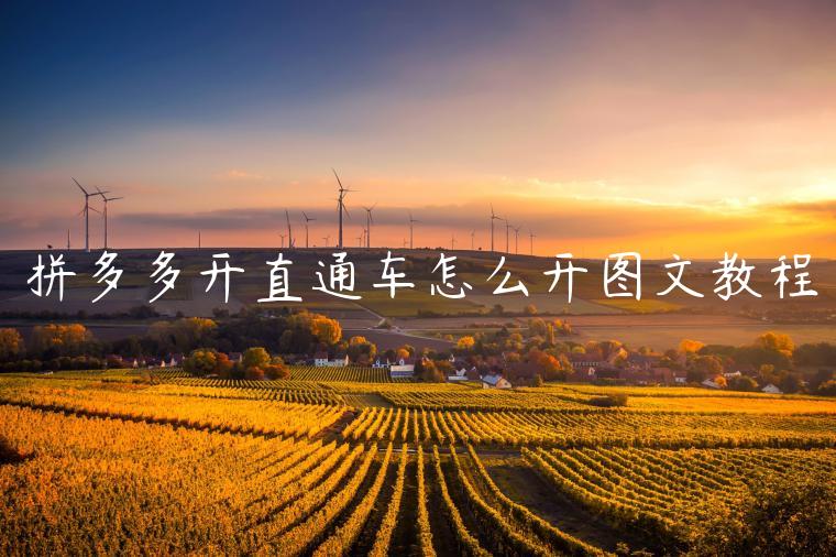 拼多多开直通车怎么开图文教程