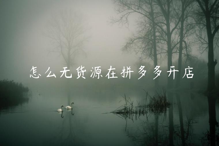 怎么无货源在拼多多开店