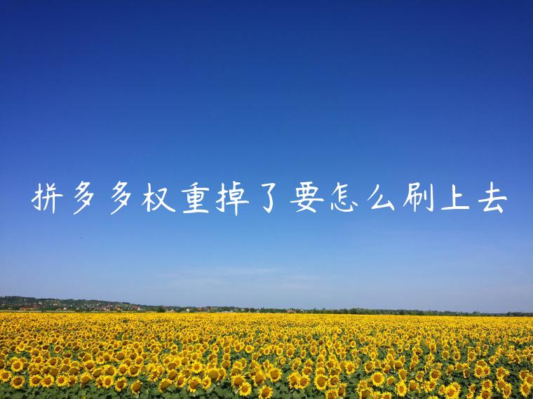 拼多多权重掉了要怎么刷上去