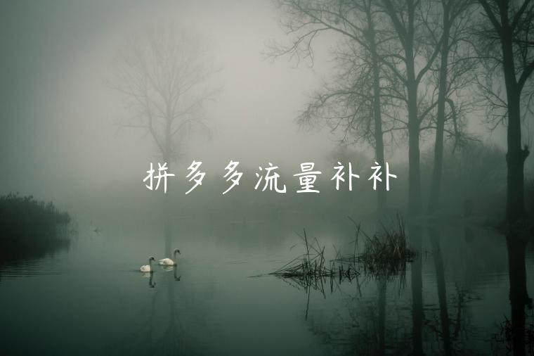 拼多多流量补补