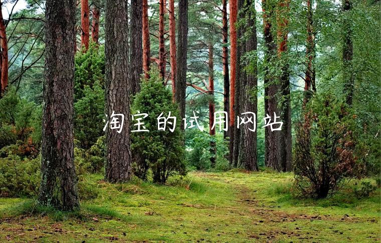 淘宝的试用网站