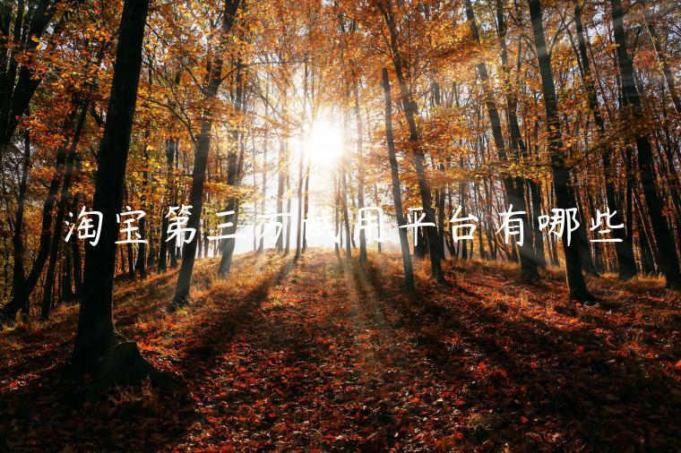 淘宝第三方试用平台有哪些