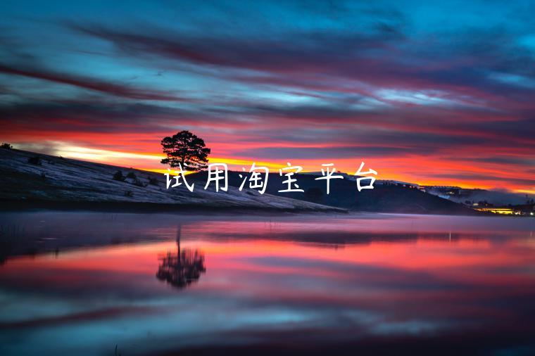 试用淘宝平台