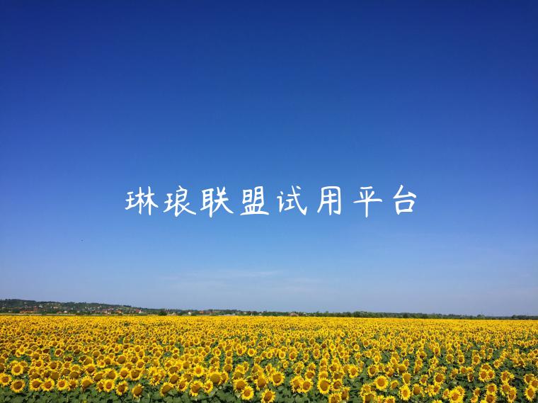 琳琅联盟试用平台