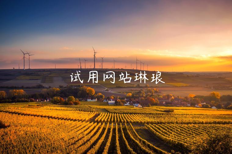 试用网站琳琅 试用网站琳琅