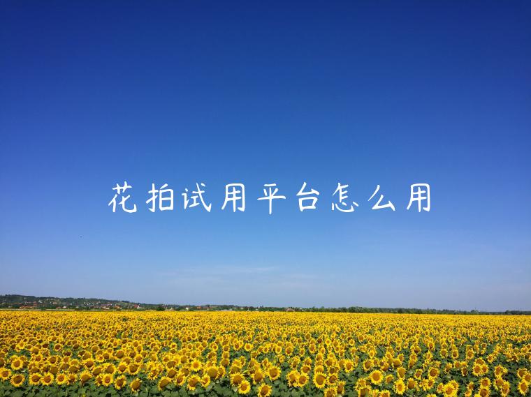 花拍试用平台怎么用