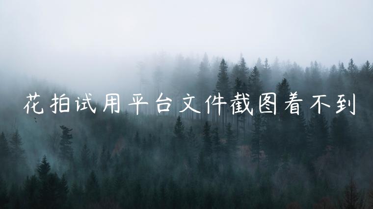 花拍试用平台文件截图着不到 花拍试用平台文件截图着不到