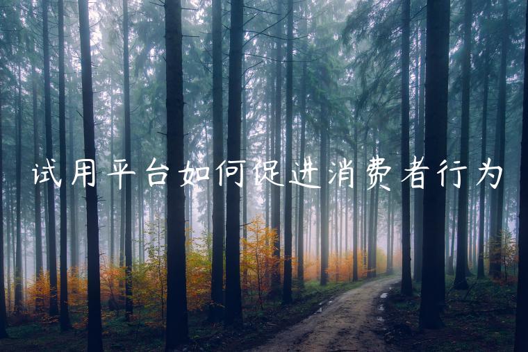 试用平台如何促进消费者行为 试用平台如何促进消费者行为