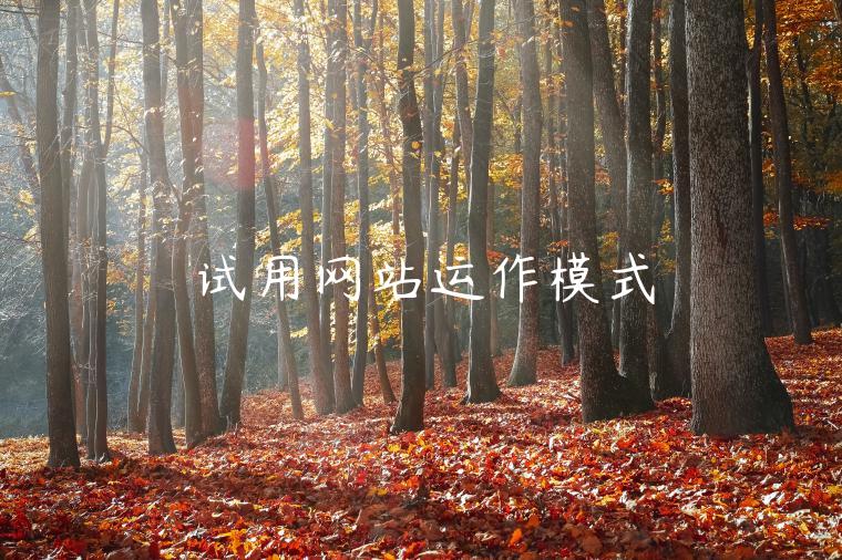 试用网站运作模式