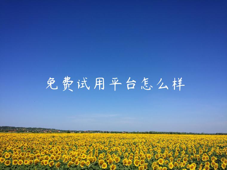 免费试用平台怎么样