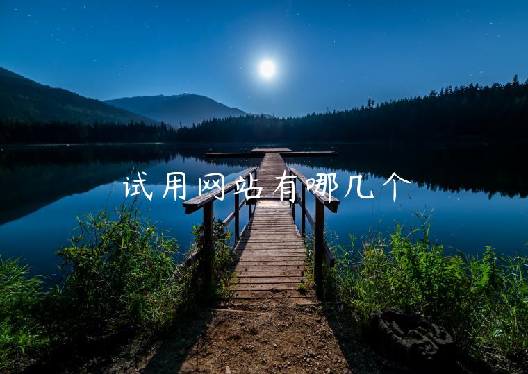 试用网站有哪几个
