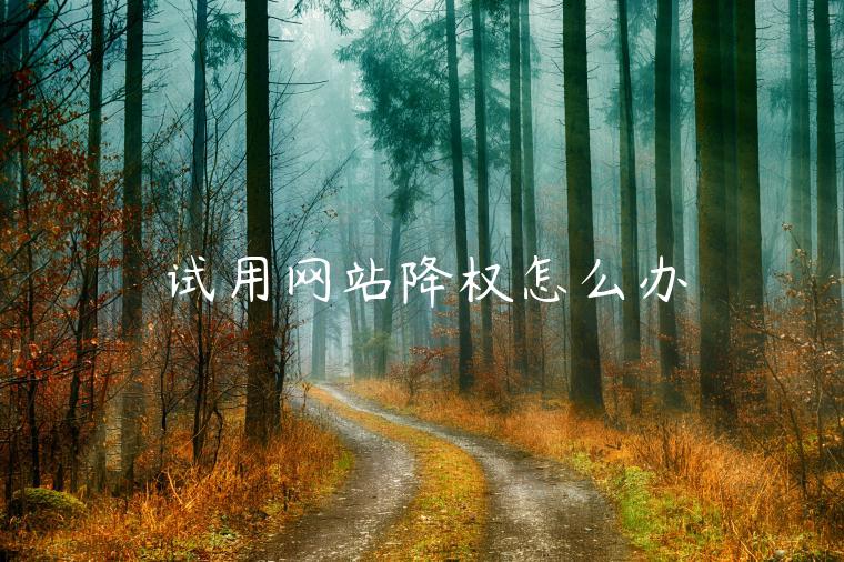 试用网站降权怎么办 试用网站降权怎么办