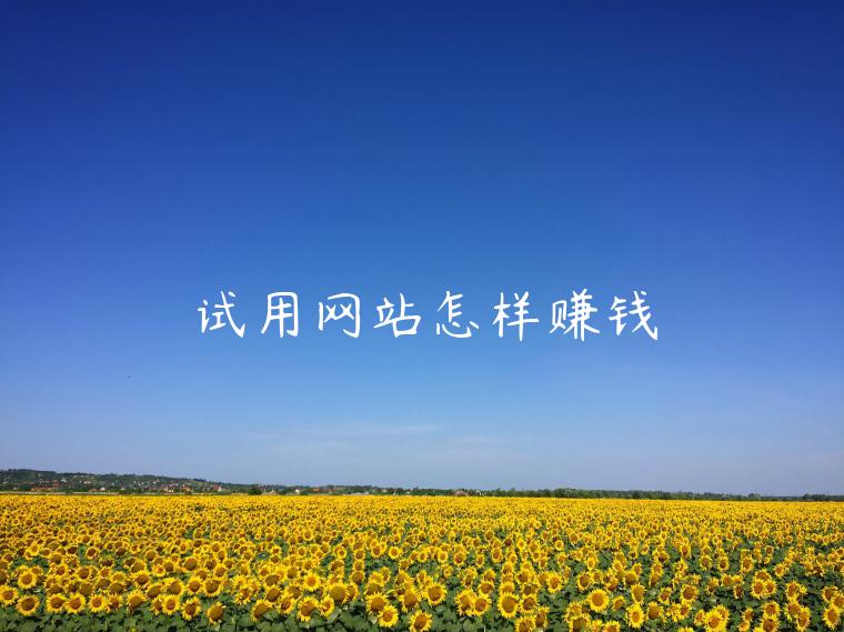 试用网站怎样赚钱