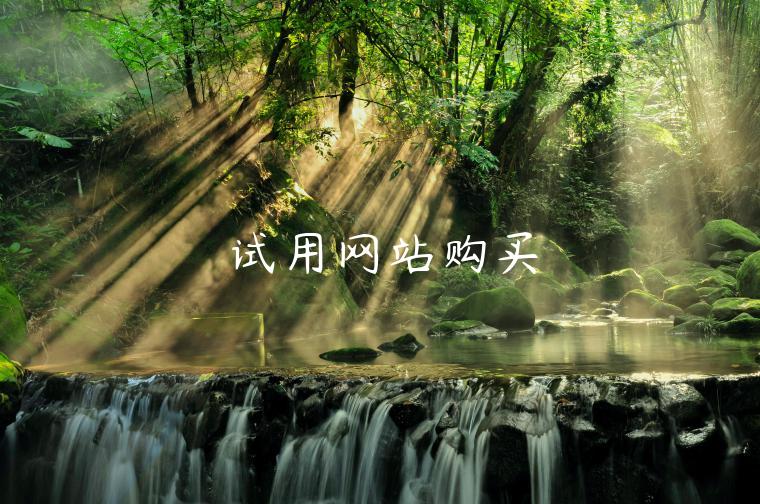 试用网站购买