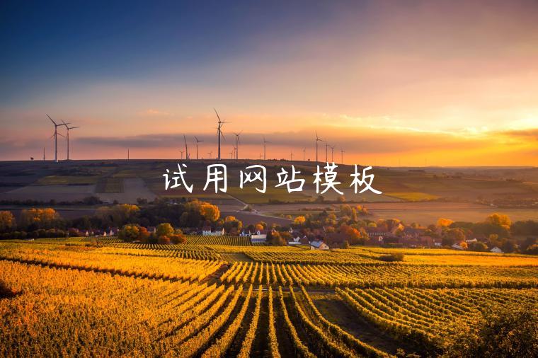 试用网站模板 试用网站模板