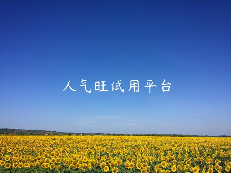 人气旺试用平台