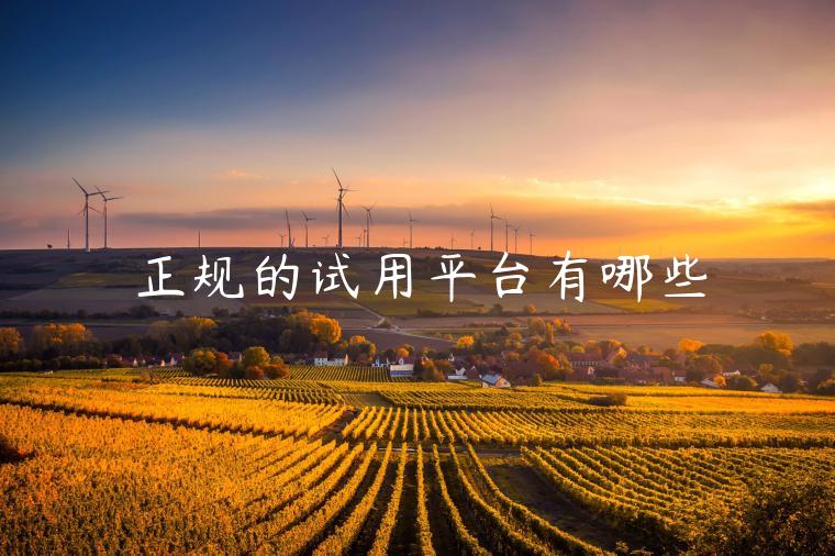 正规的试用平台有哪些 正规的试用平台有哪些