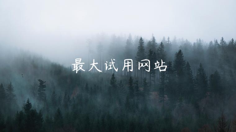 最大试用网站