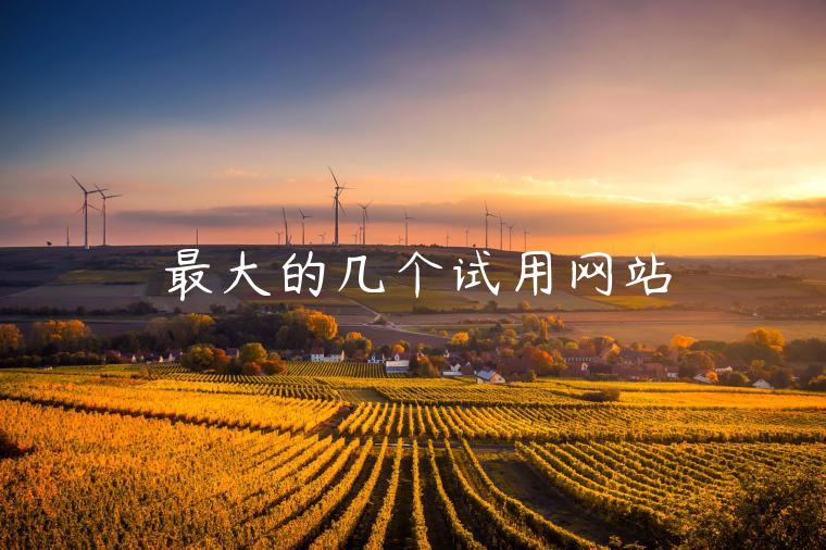 最大的几个试用网站