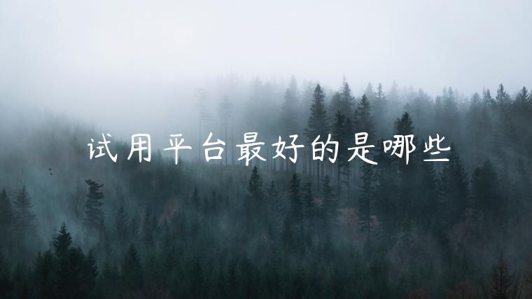 试用平台最好的是哪些 试用平台最好的是哪些