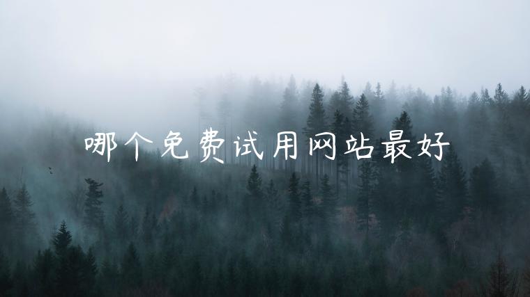 哪个免费试用网站最好