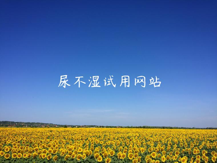 尿不湿试用网站